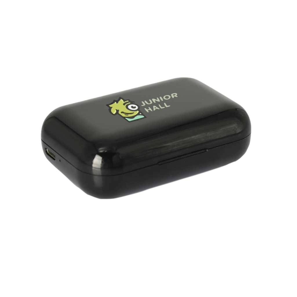 TWS True Wireless Stereo Earbuds with Charging Case 13
