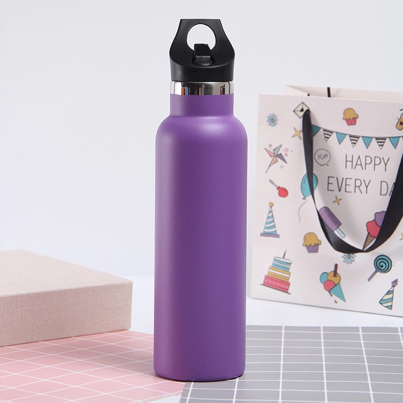 20 oz Stainless Steel Water Bottle w/Straw Lid 11