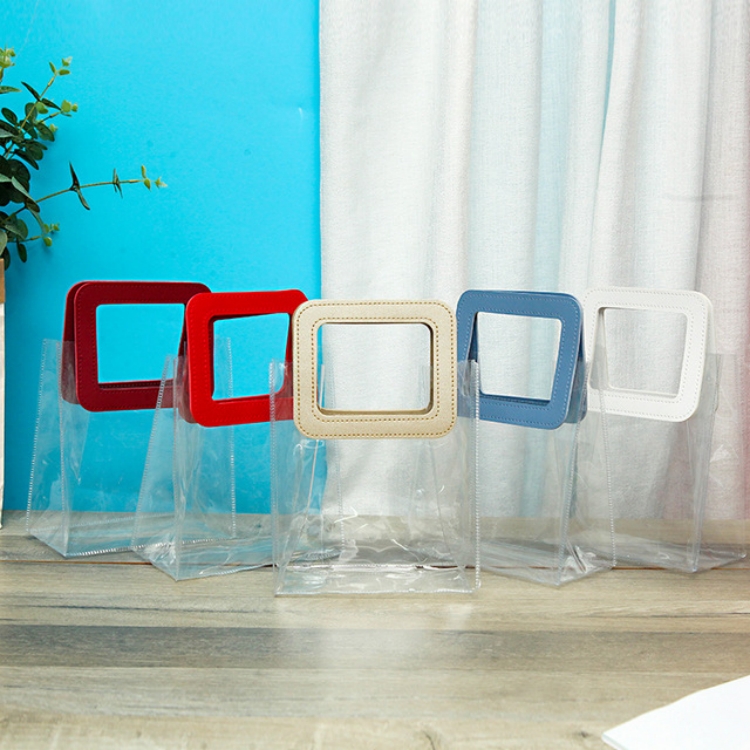Waterproof Transparent Bag 1