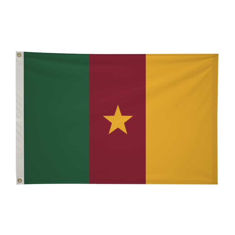 2' x 3'International Flag 159