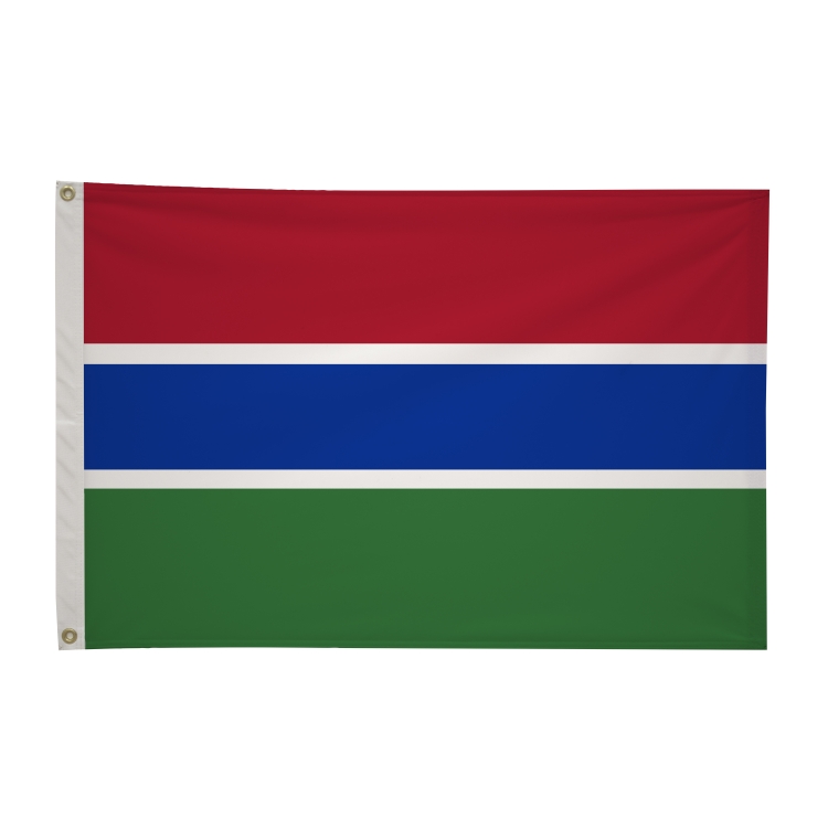 2' x 3'International Flag 283