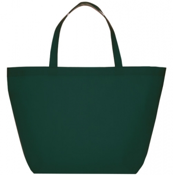 Budget Non-Woven Shopper Tote Bag 17
