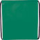 Evergreen Non-Woven Drawstring Bag 116