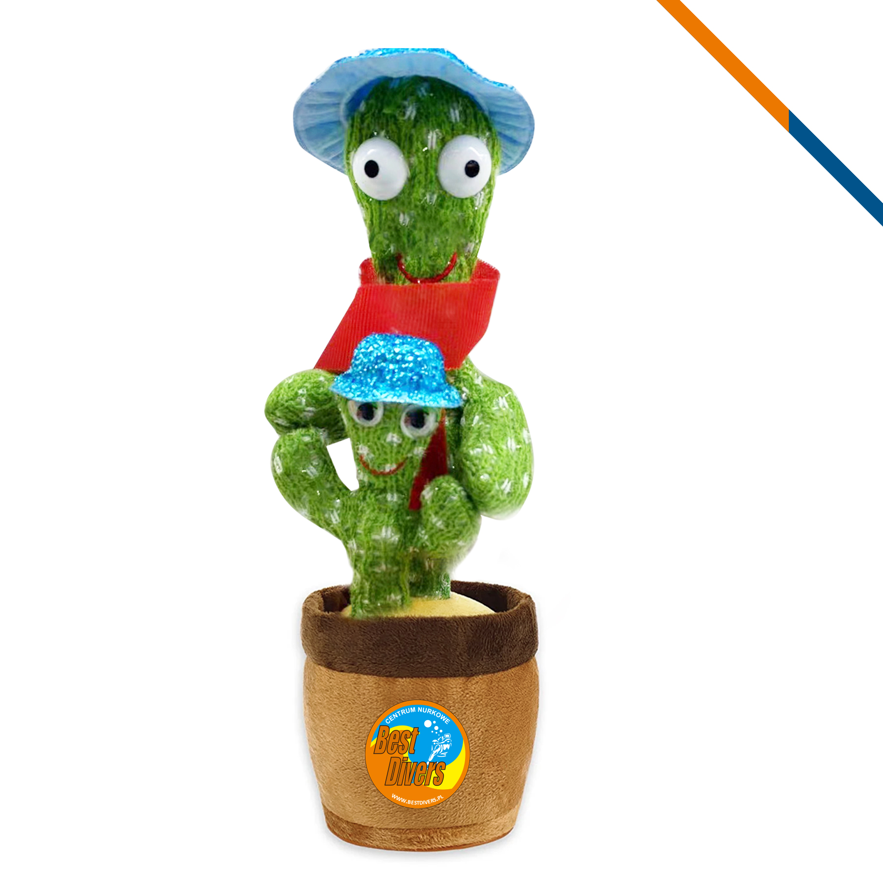 Scaver Dancing Cactus 2