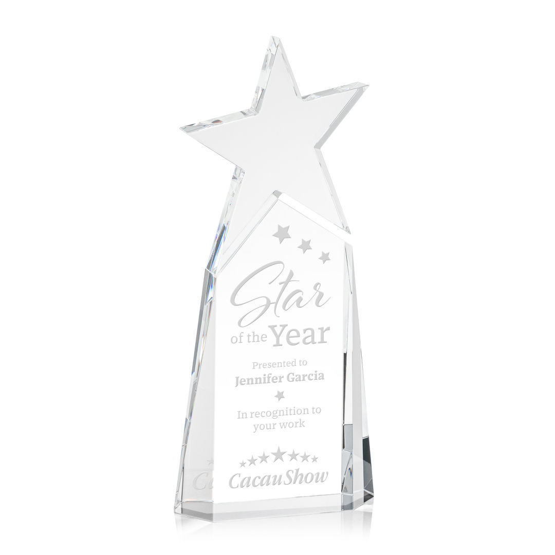 Vernon Star Award 3