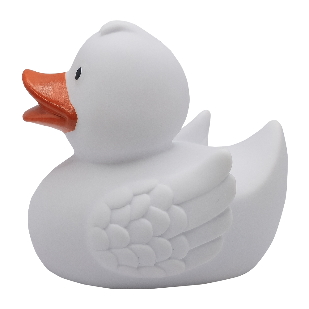 Duck With Wings 6