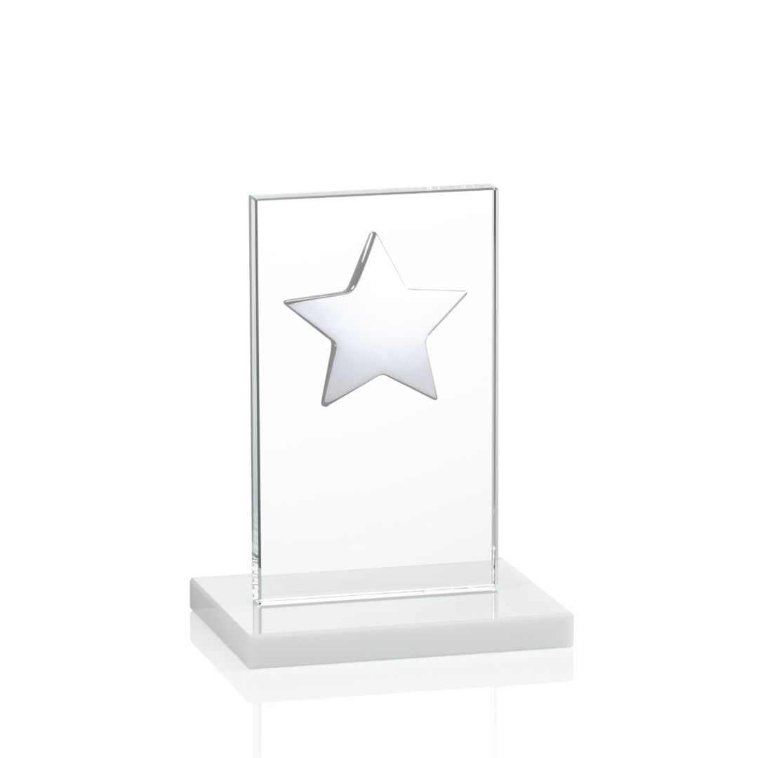 Dallas Star Award - White/Silver 9