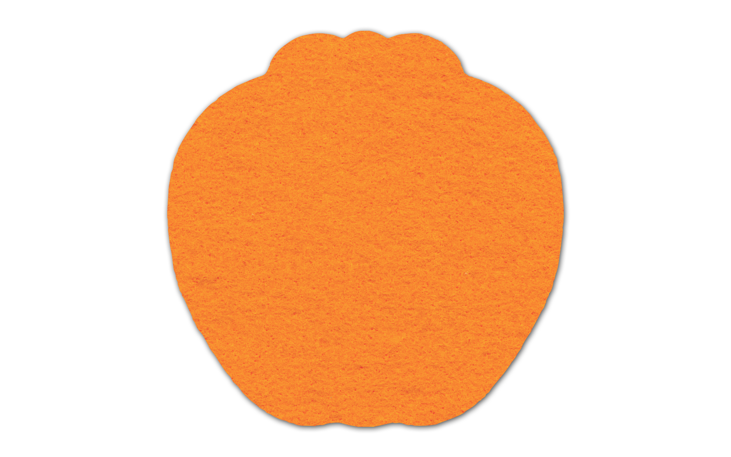 Apple Shammy Coaster 12