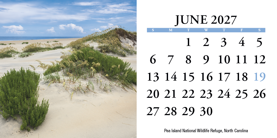 HotLine® Products Scenic America® Desk Tent Calendar 49