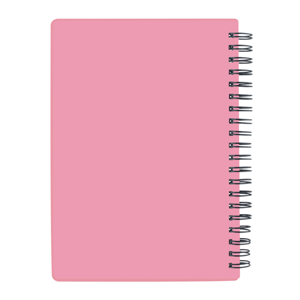 Pen-Buddy Notebook Set 31