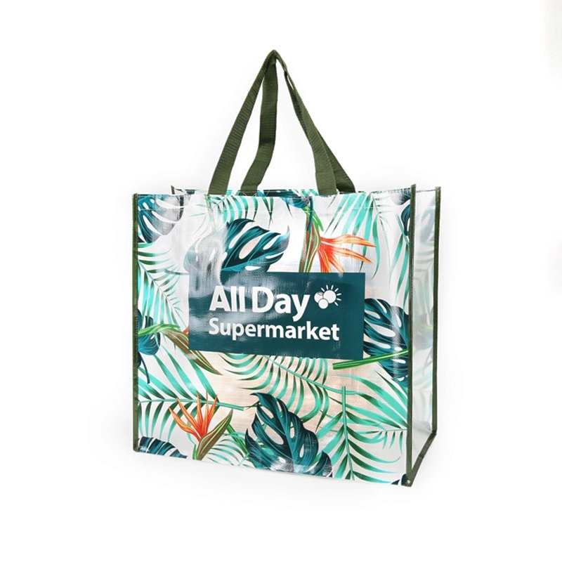 Eco-friendly PP Laminated Bag 6