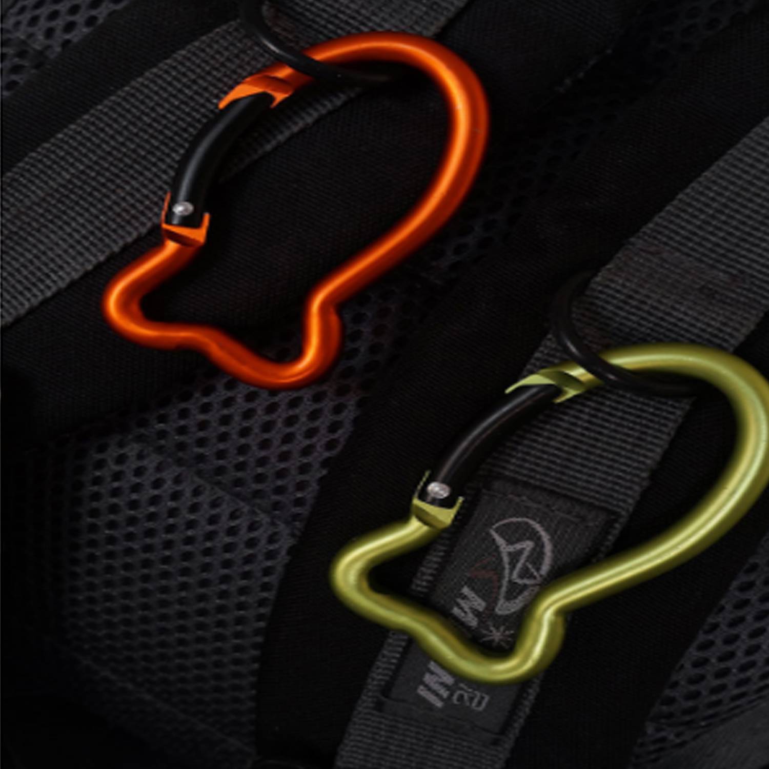Fish Shaped Carabiner 3