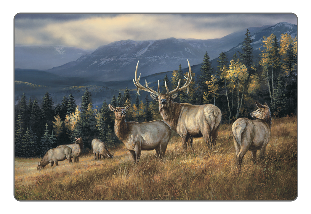 Triumph® Calendars Wildlife Art Pocket Calendar 3