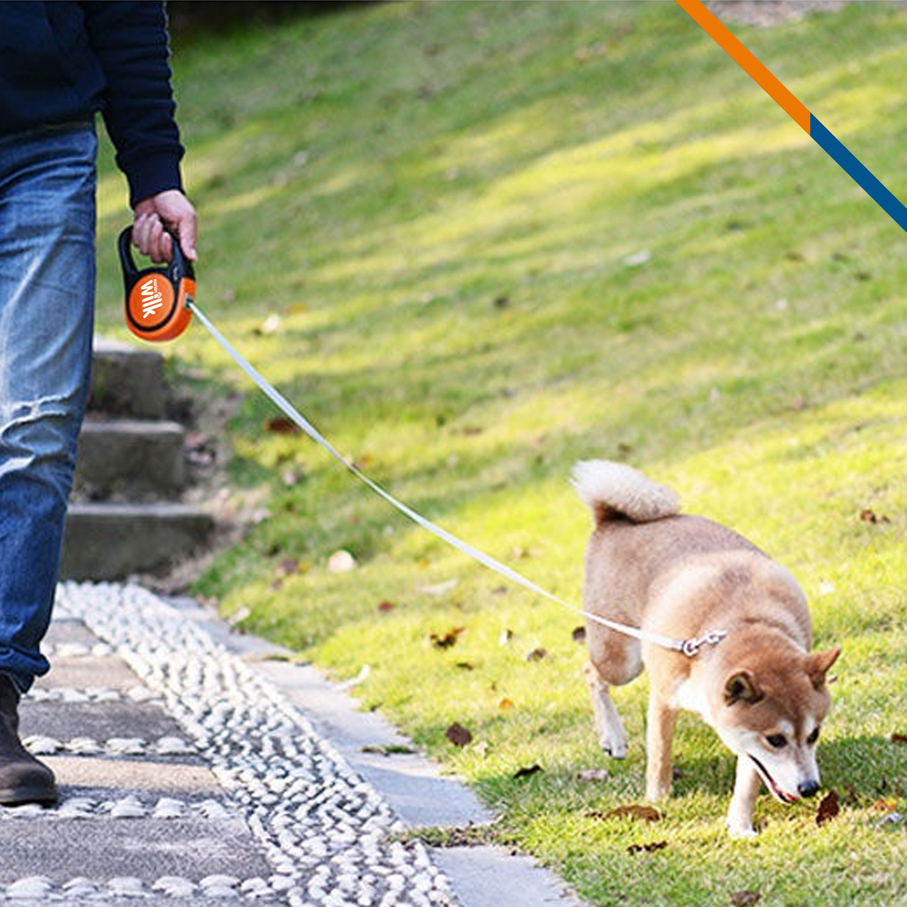 Byar Retractable Dog Leash 1