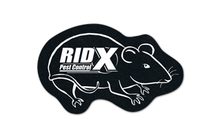 Rat/Mouse Flat Tire Coaster 4