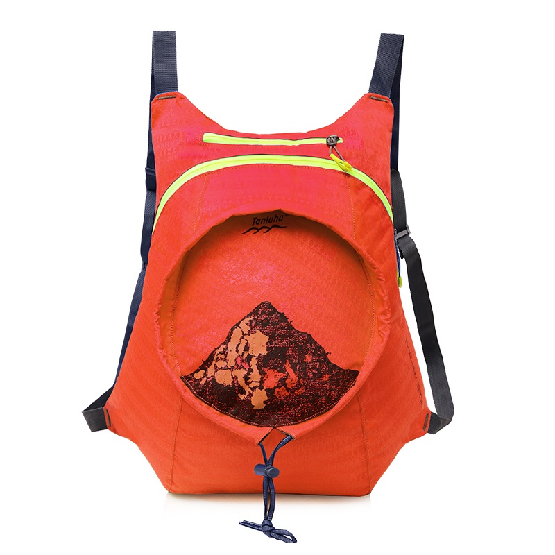 Foldable School Backpack 8