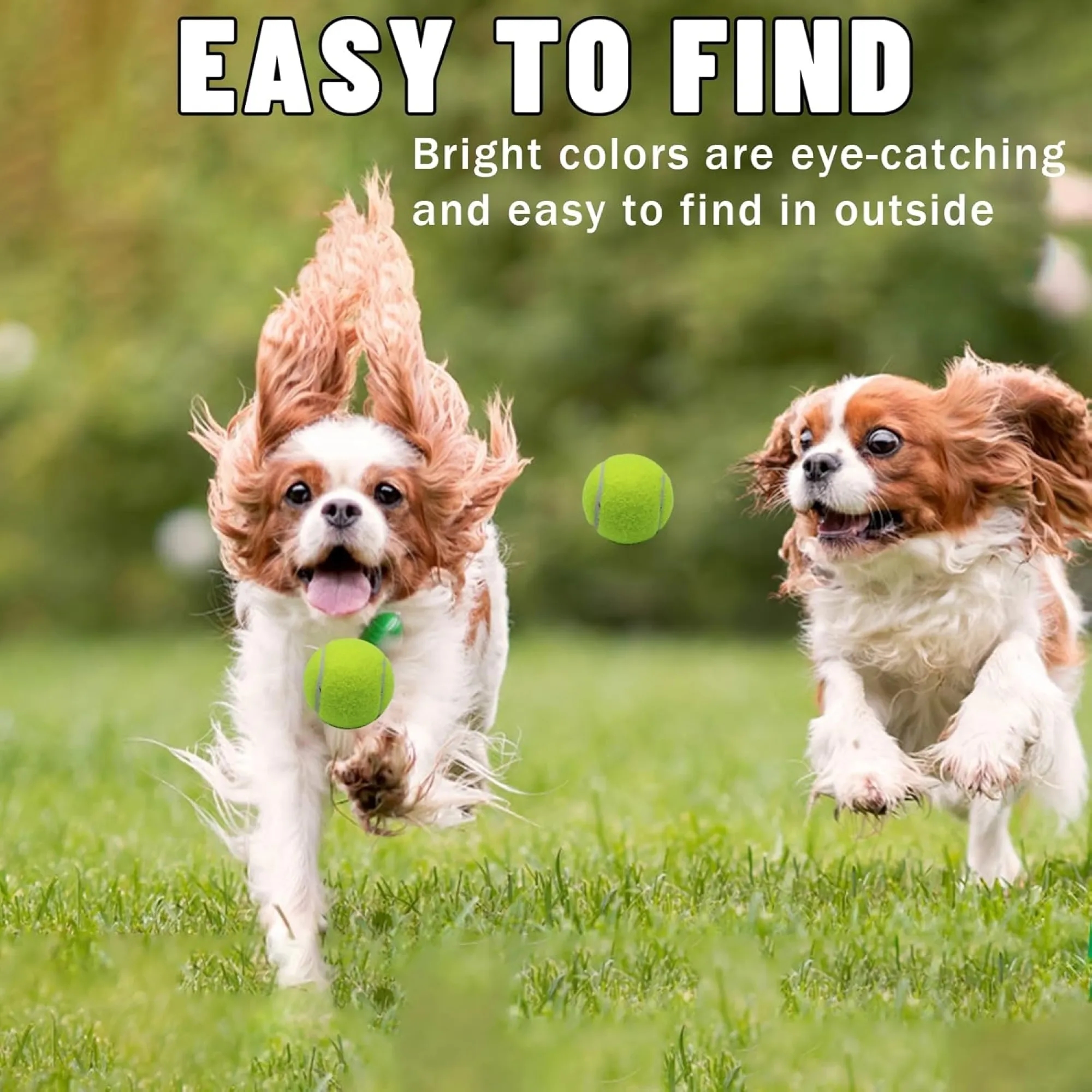 Pet Dog Boredom Toy Durable Bite Resistant Rubber Tennis 2