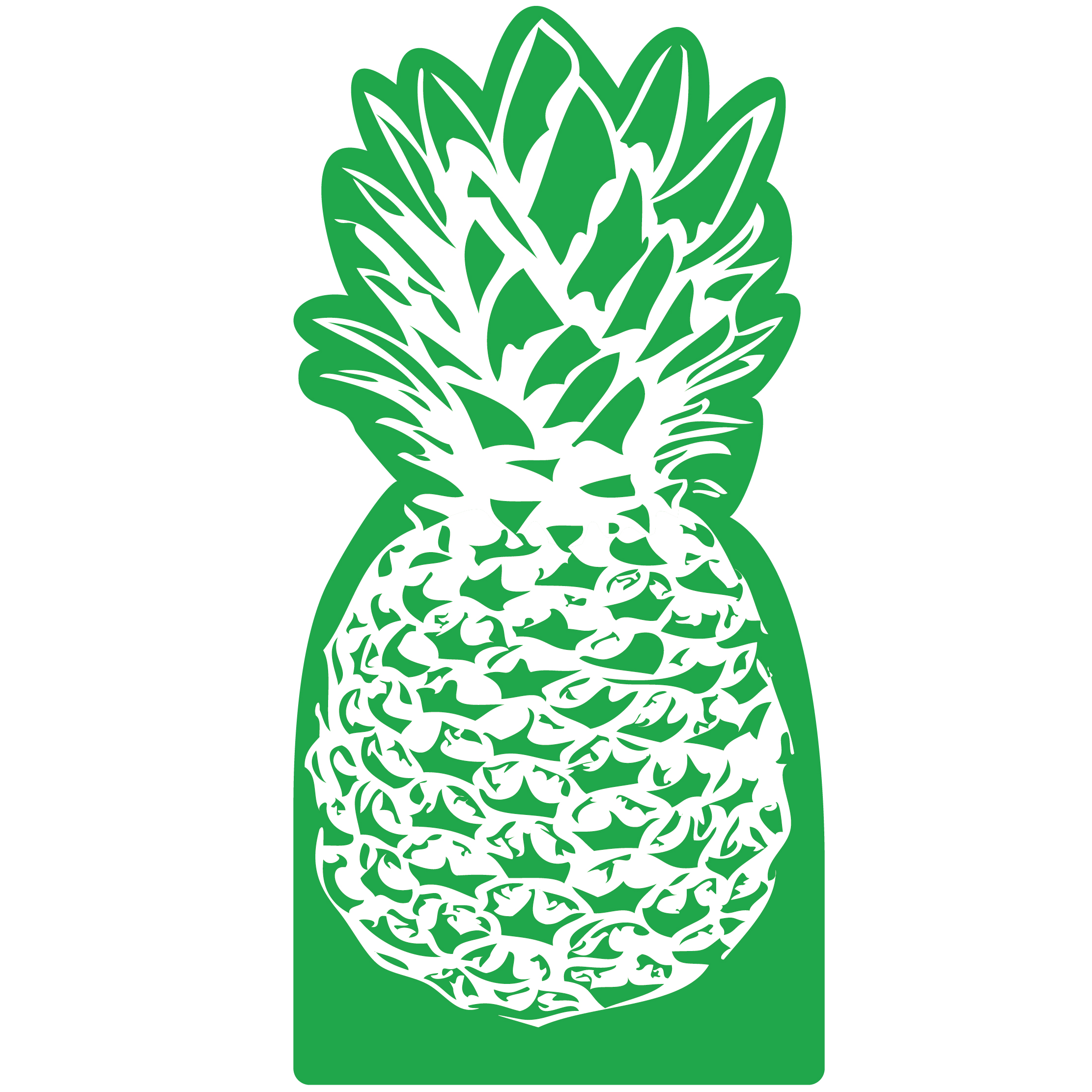 Pineapple Mitt 17