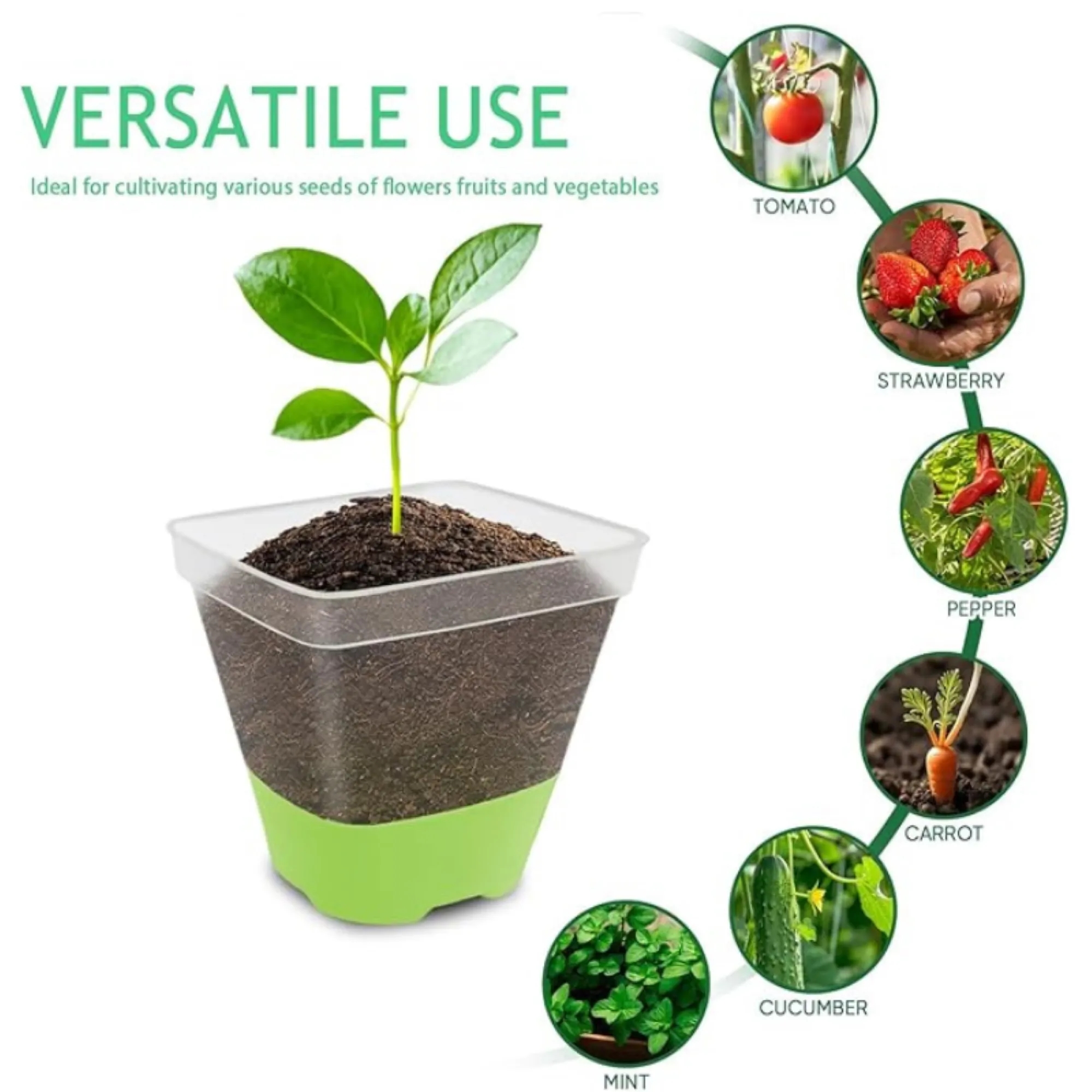3-Inch Transparent Planting Seedling Tray 4