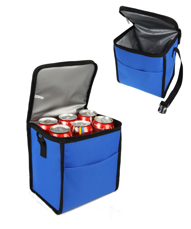 Union Printed - 6 can Lunch Cooler 5