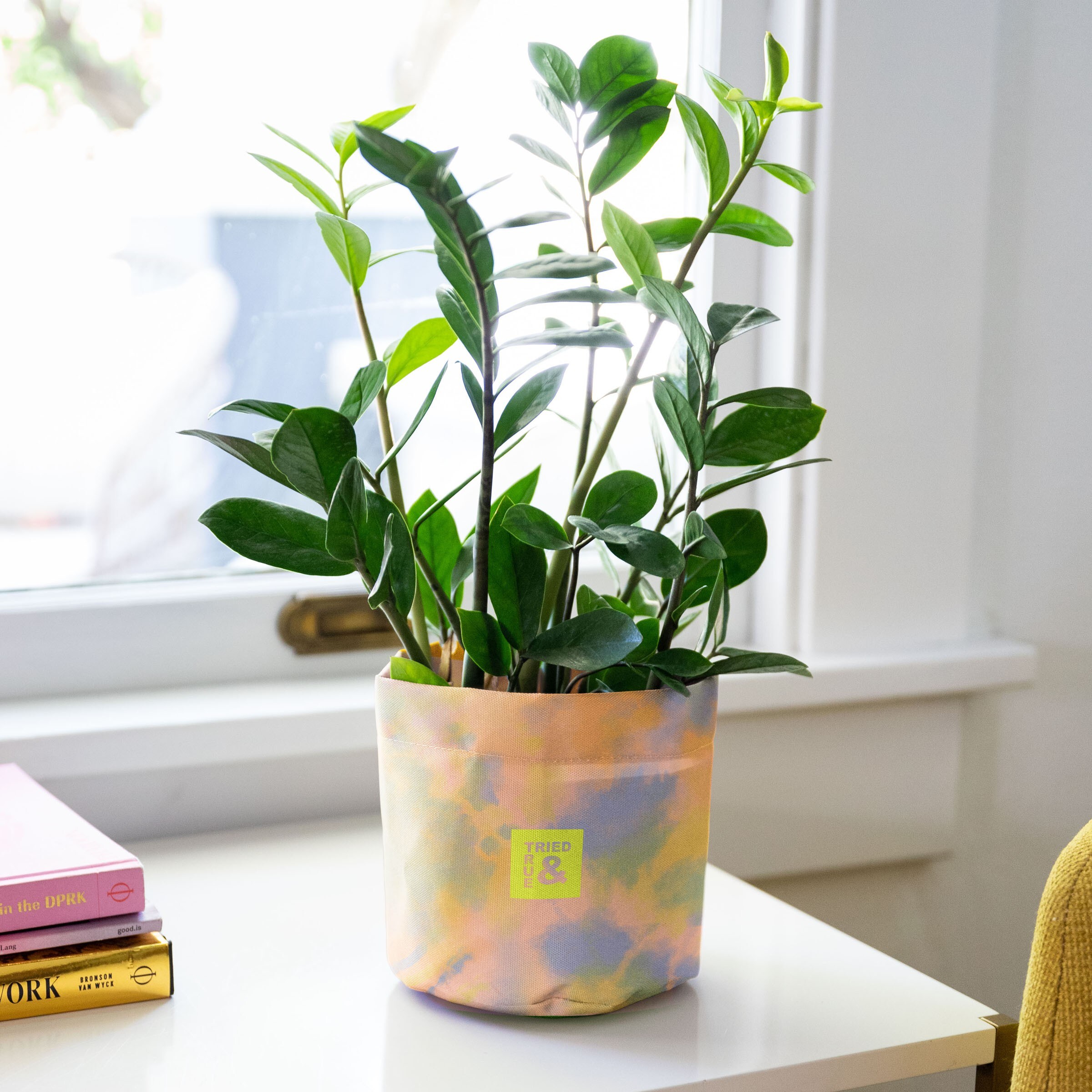 MARY JANE - 4CP 1000D RPET