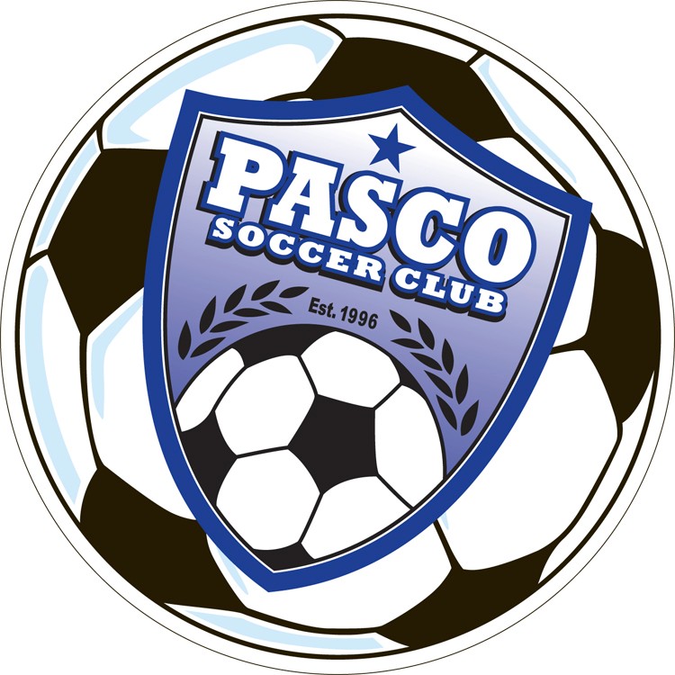 Custom 5.75" Diameter Circle Soccer Ball Car Magnet 2
