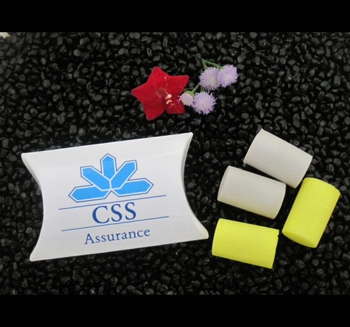 Classic Foam Ear Plug Single Pair Pouch 5