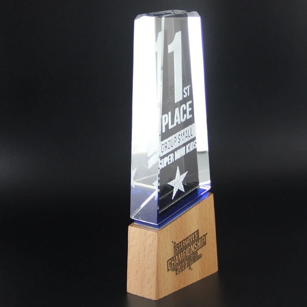 Wood Base Crystal Trophy 2