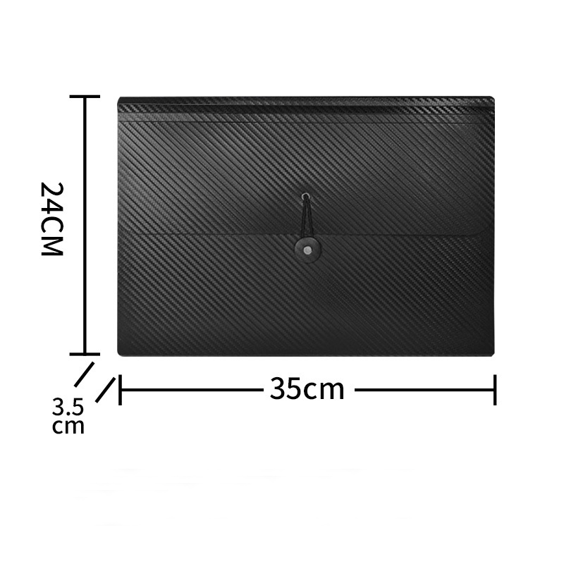 Large Size Expanding File 6
