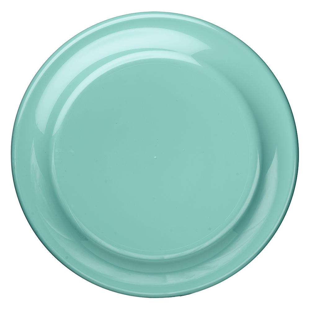 9.25 in. Solid Color Flying Discs 83