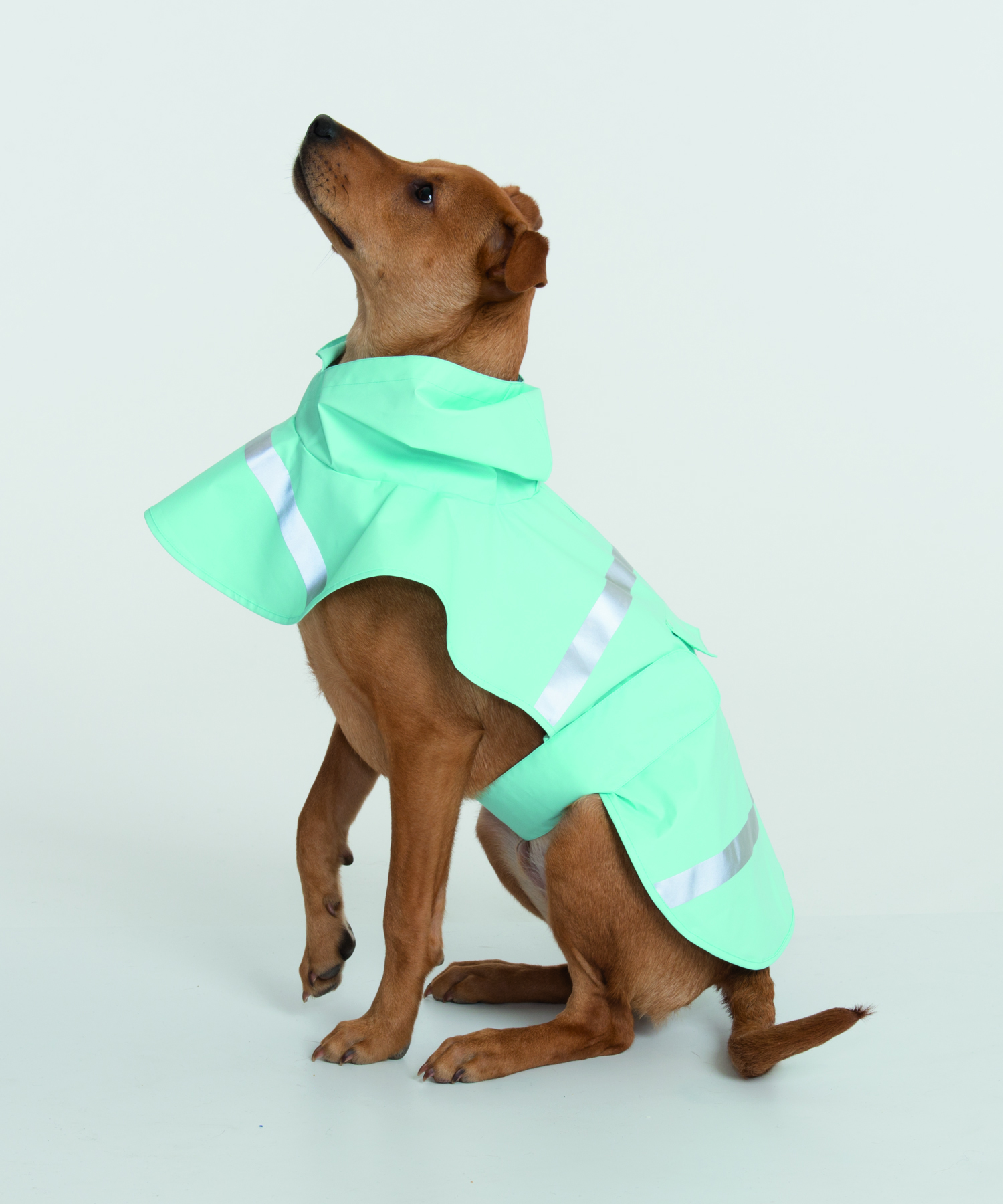 New Englander Doggie Rain Jacket