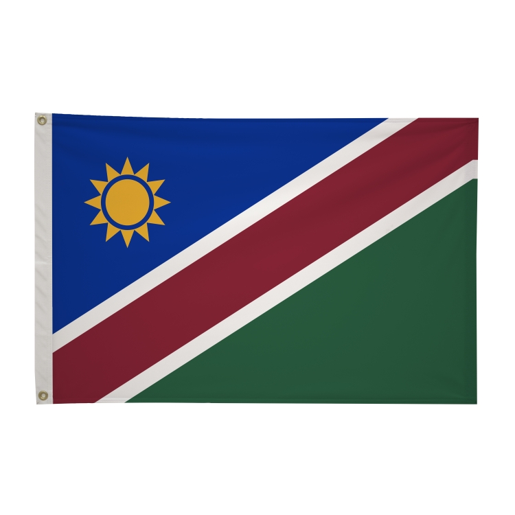 2' x 3'International Flag 30