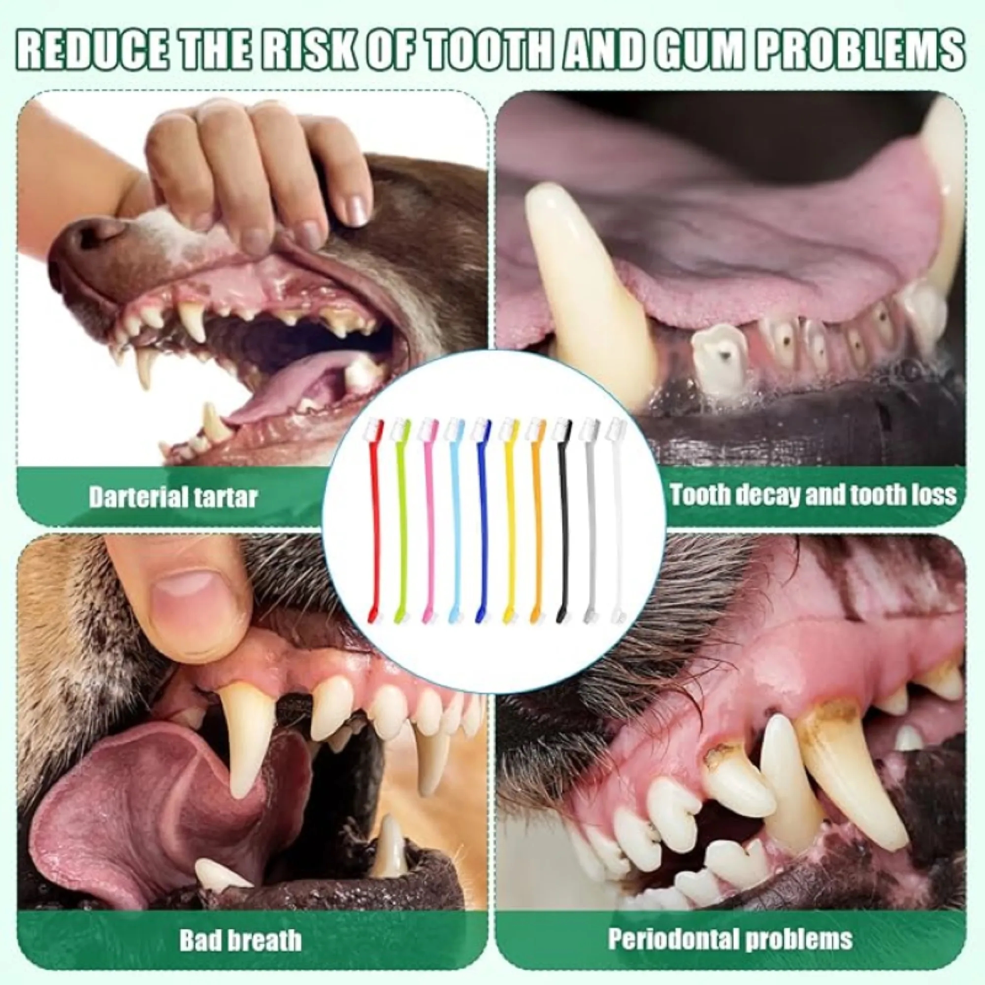 Double-Ended Toothbrush With Handle For Pets 2