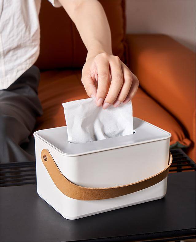 ABS Tissue Box Sleeve 7