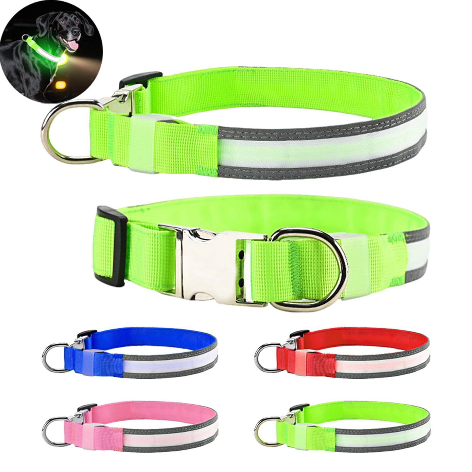 Rechargeable LED Light Up Dog Collar 6