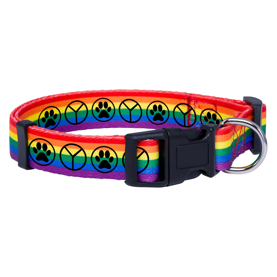 Rainbow Polyester Collar with Buckle Release