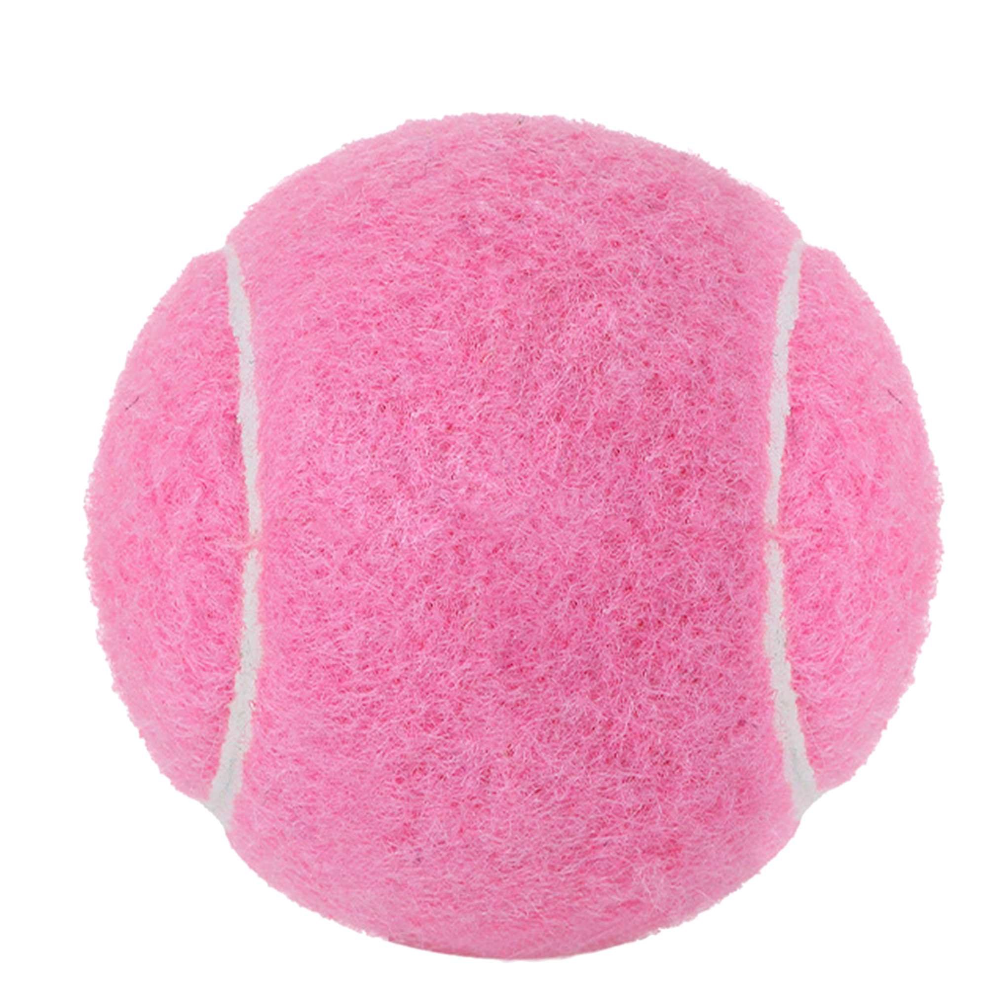 Customizable Dog Play Ball 15