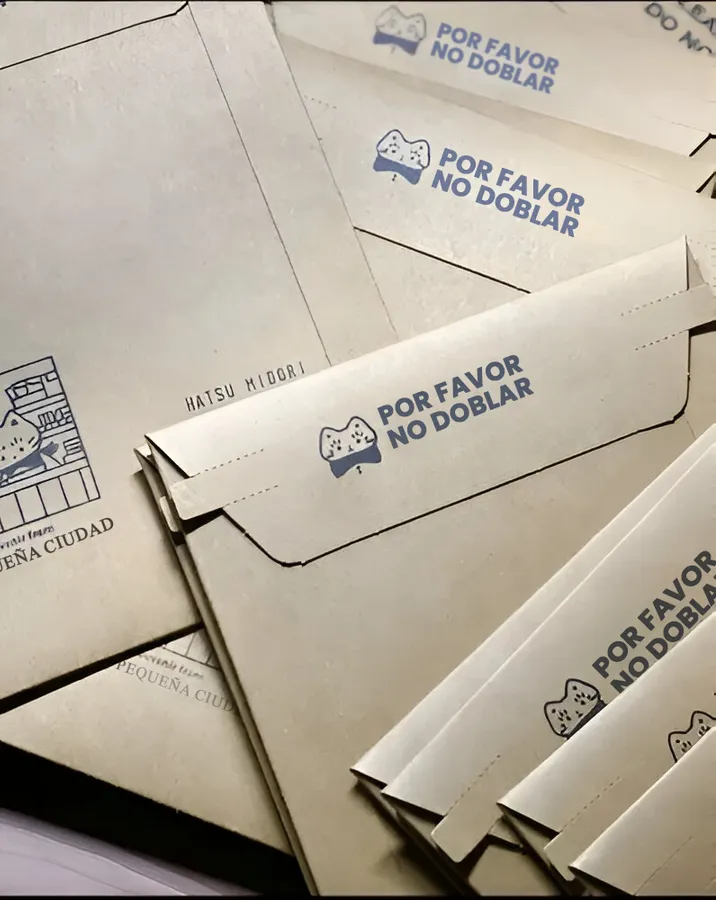 Custom Shipping Envelopes 19