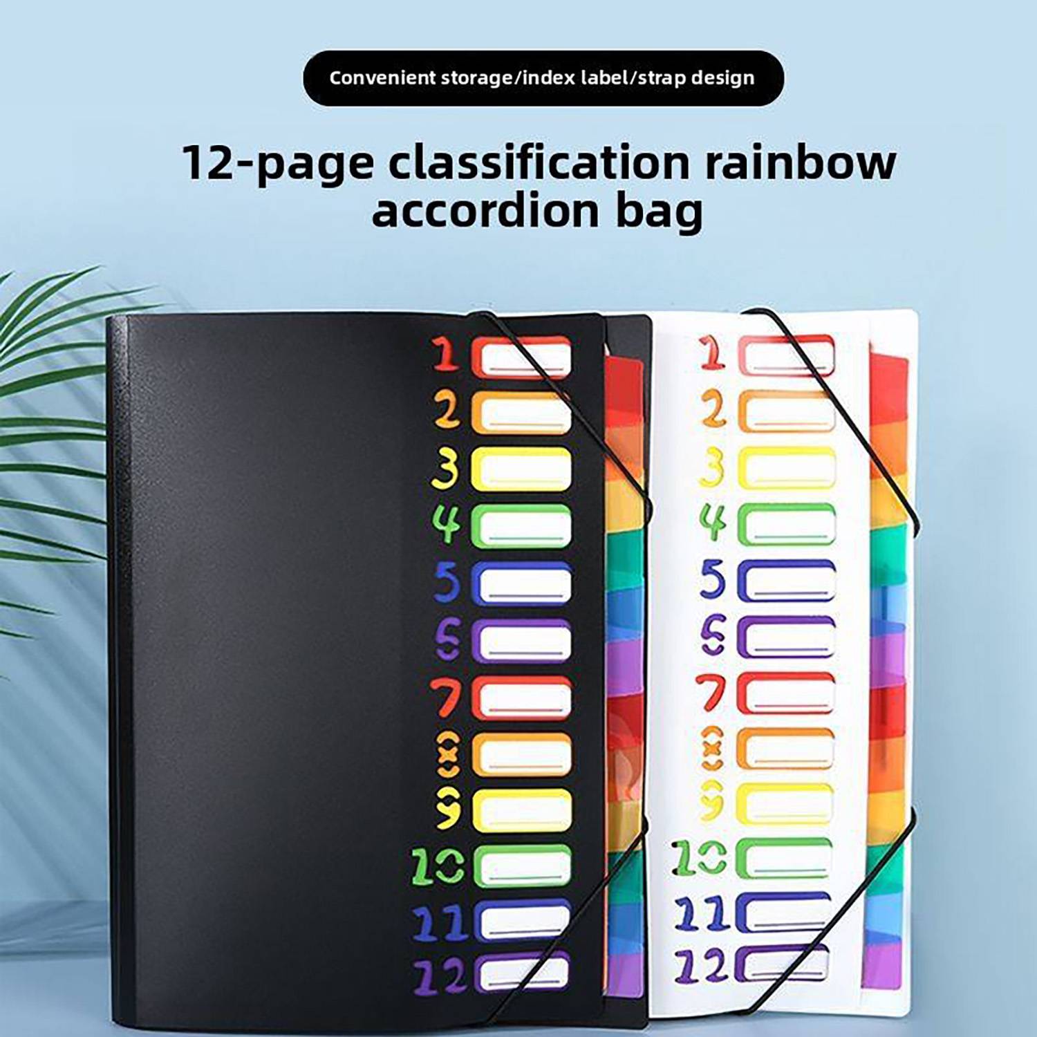 12 Pockets Plastic Expanding File Folder 17