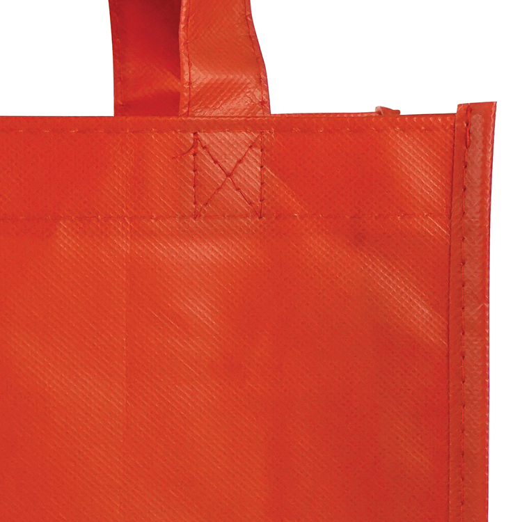 Sundale Small Matte Laminated Tote Bag 16