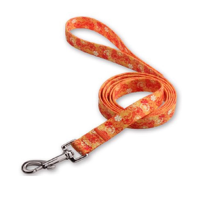 Polyester Dog Leash 9