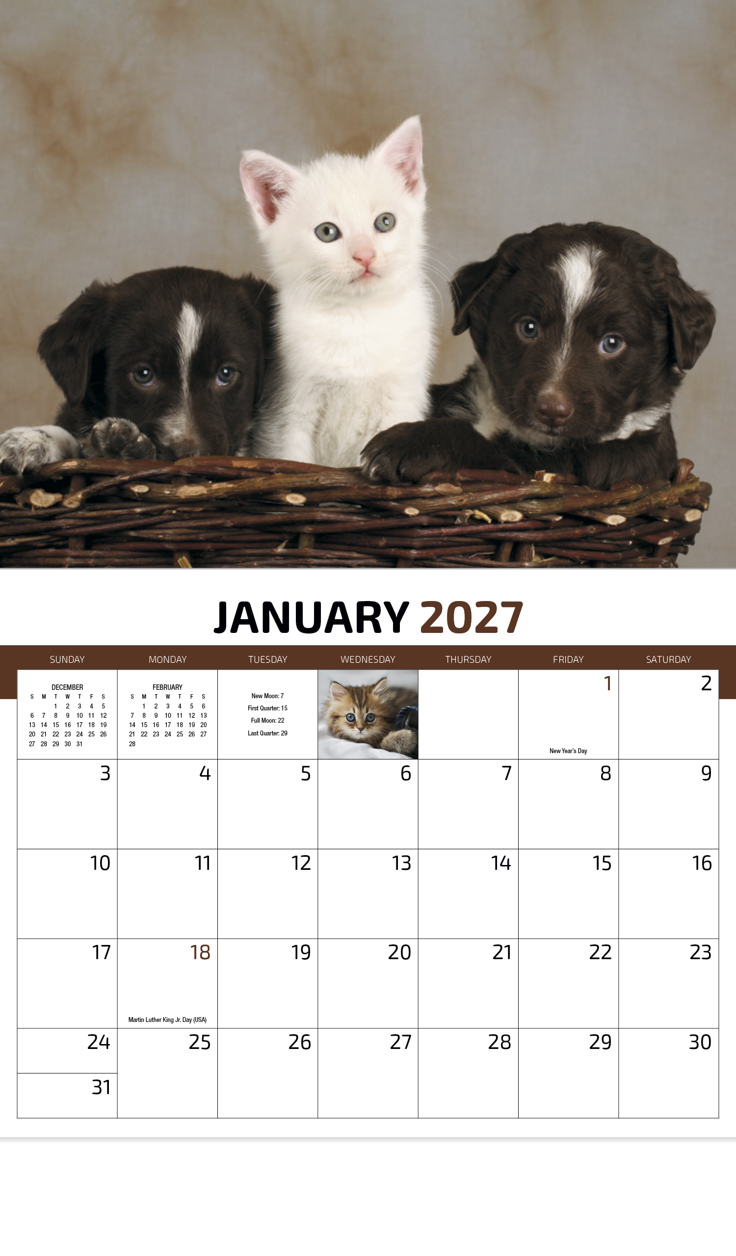 HotLine® Products Four Paws Appointment Calendar - Stapled 15