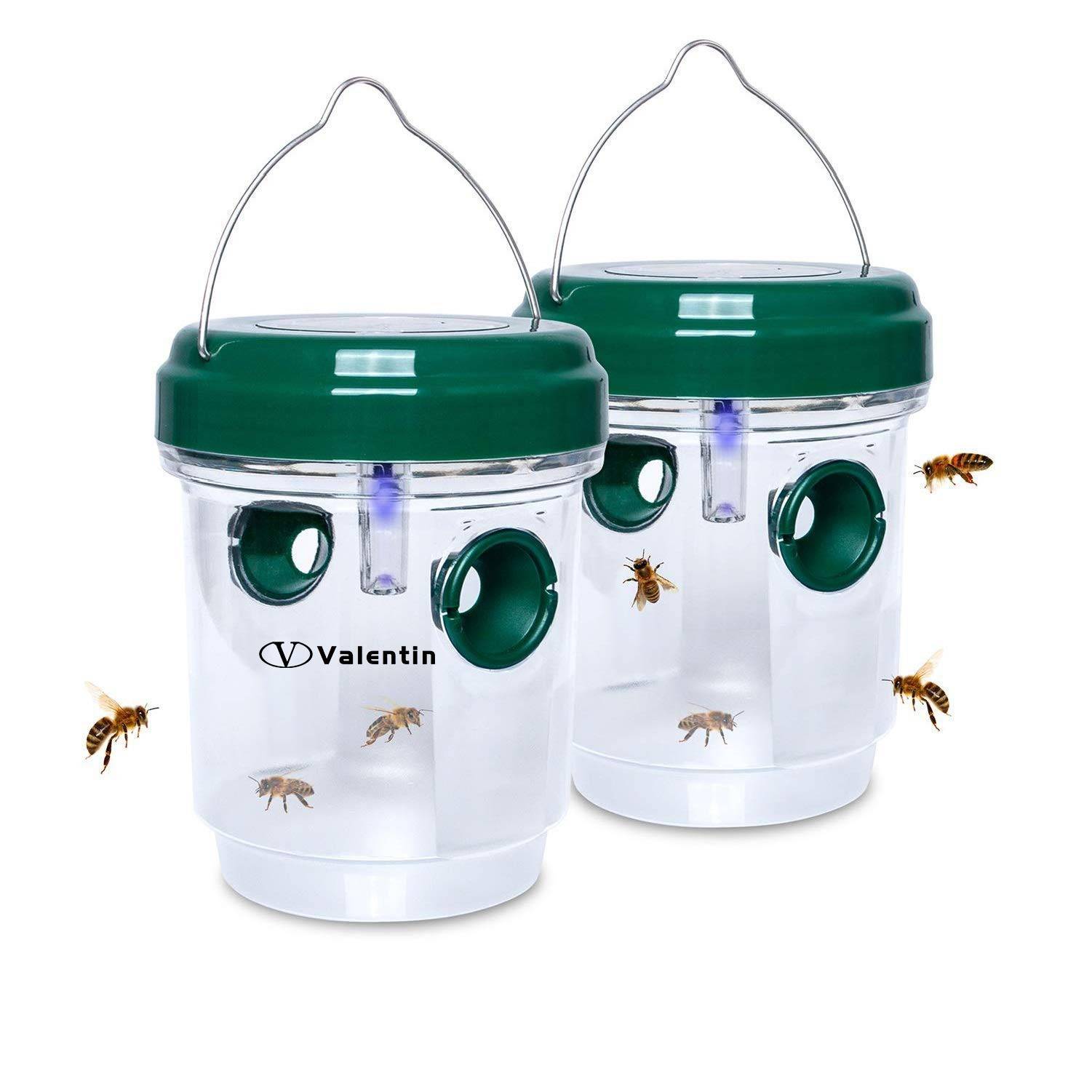 Solar Wasp Trap 2