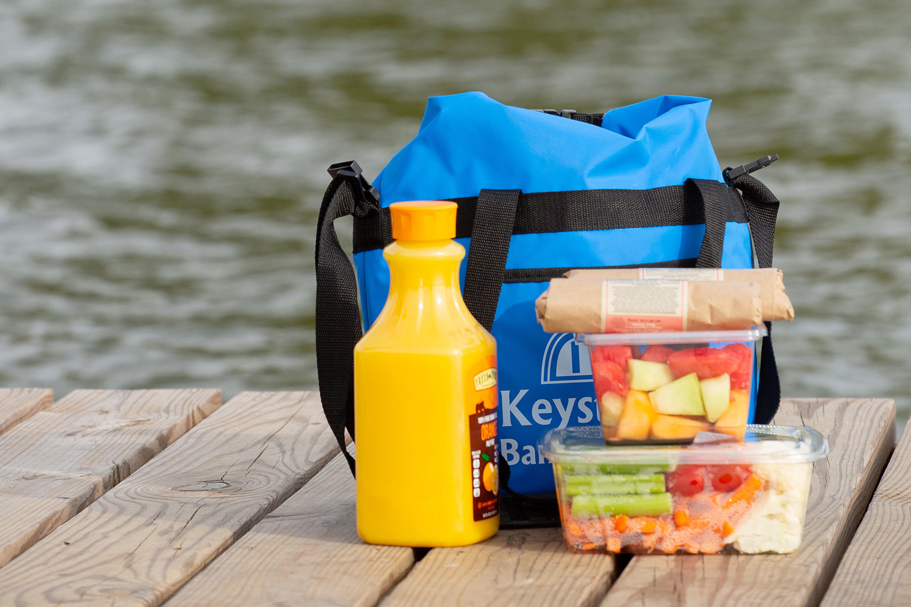 Riverdale 15L Waterproof Cooler Bag 24