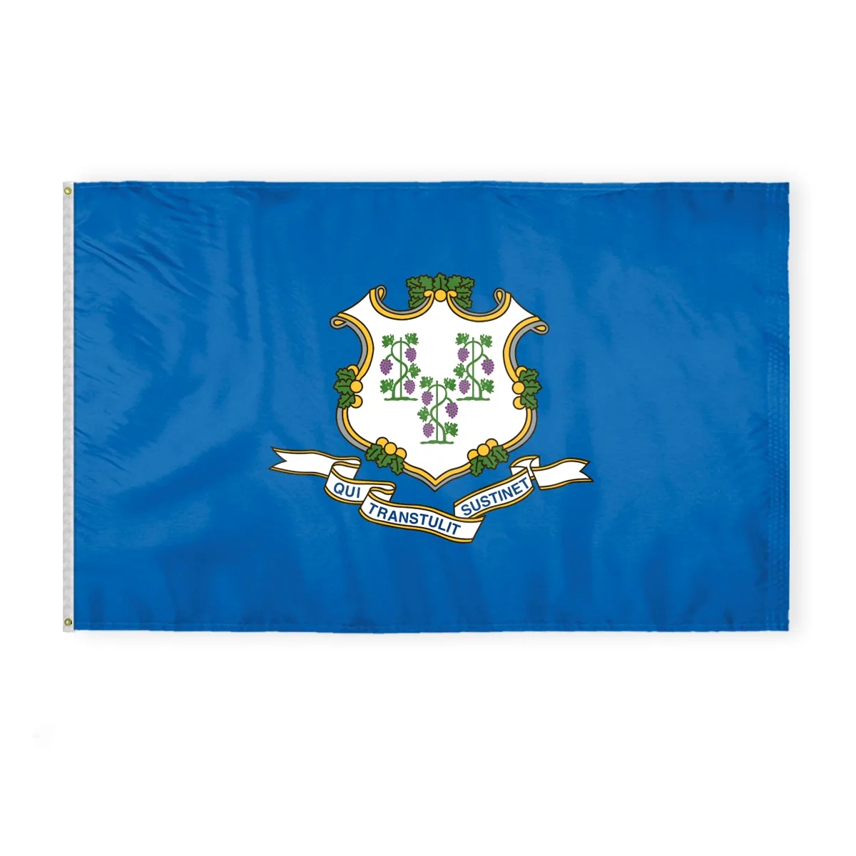 12"x18" to  8'x12'  Connecticut Nylon Flags 2