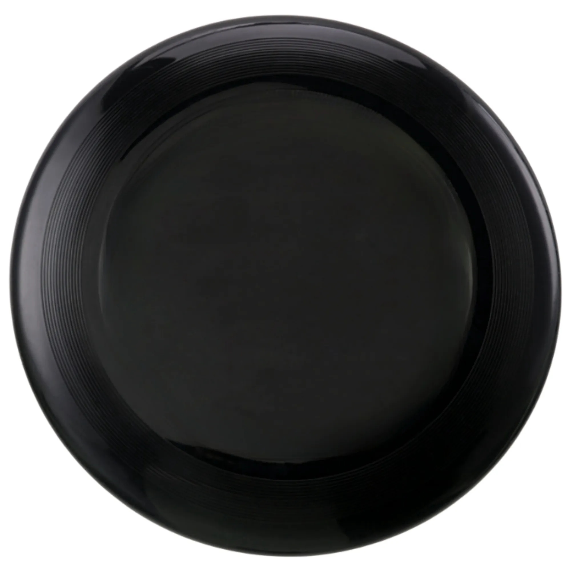 Dog Flying Disc 5