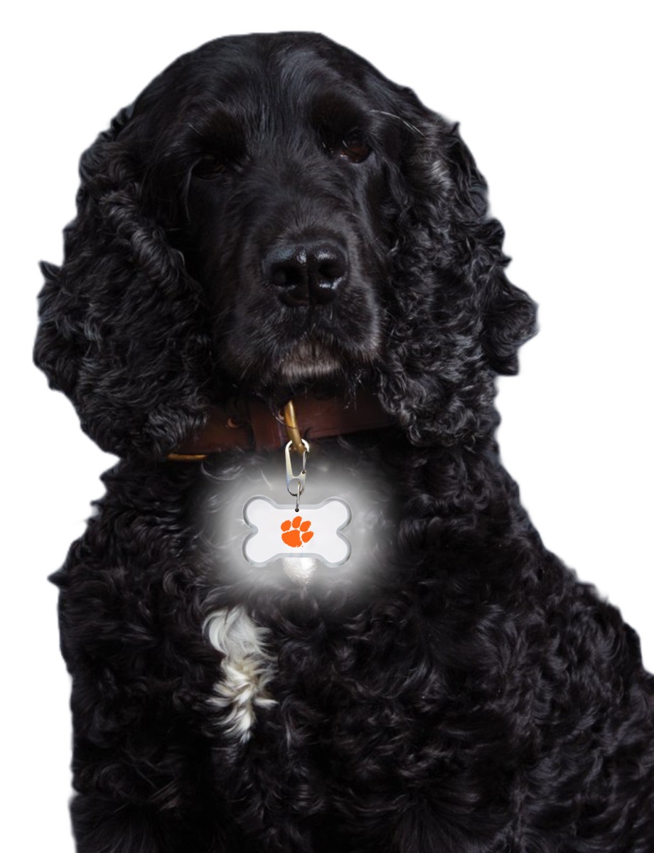 Personal Illumination Device 2