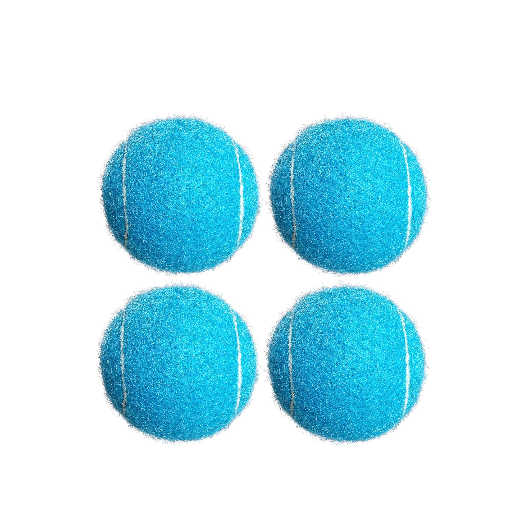 Pet Tennis Ball Training Toy 7