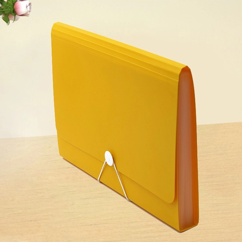 PP Plastic 13-Pocket Expanding A4-Size Portfolio File Folder 9