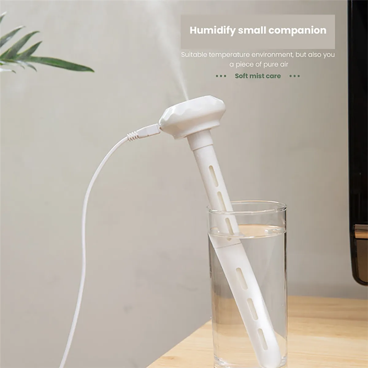 Mini Portable Humidifier 3